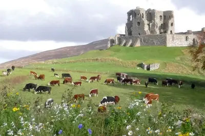 Image de The Castle Byre, hébergement indépendant à côté du château historique d'Auchindoun