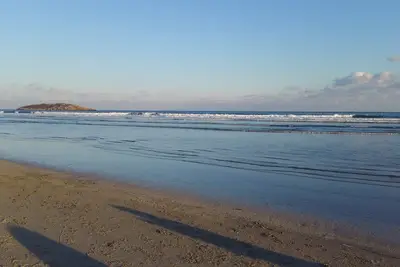 Image de Marcher à Good Harbor Beach, animaux domestiques, maison de plage familiale