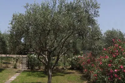Image de Casale Uliveto Da Valeria, Une Oasis Verte Avec Piscine Et Deux Pas De La Mer