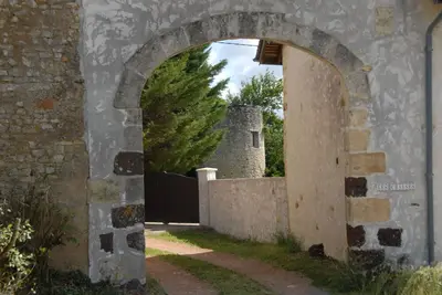 Image de ---- Gîte des Moineaux au milieu des vignes (Bienvenue aux Animaux de compagnie)