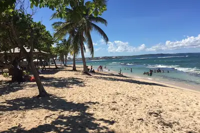Image de Plage à 100m ▪ Vue mer ▪ Appartement classé 3*au calme▪ jardin arboré ▪1 chambre