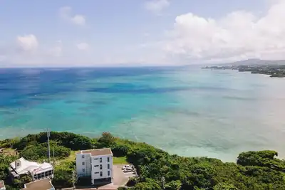 Image de Blue Steak Wonder Senaha