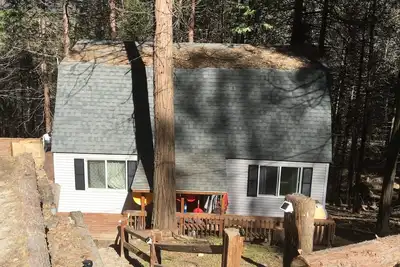 Image de La cabine Sequoia National Forrest peut accueillir 16 personnes