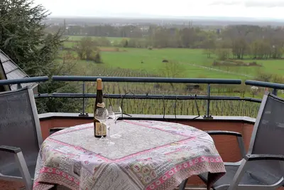 Image de Le Binsbourg au milieu du vignoble!