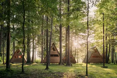 Image de Wooden hut 'Forest bed' near to the river Savinja