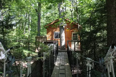 Image de Belle maison dans les arbres construite au milieu des peupliers, des vieux chênes blancs et des érables rouges.