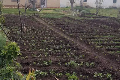 Image de Maison Ă Bouskoura avec jardin