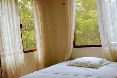 Image de Appartement entouré d'une végétation luxuriante dans une grande région, les meilleurs endroits de Tulum