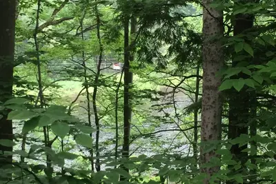 Image de Cabane pittoresque avec vue sur le lac Pauline