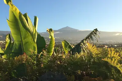 Image de La Plantation _Agroturismo