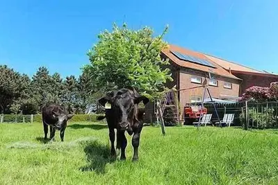 Image de Appartement - Ferienhof Janssen