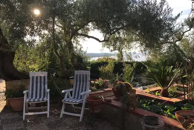 Image de Détendez-vous et la nature dans une oasis près de la mer