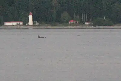 Image de Oceanfront Executive, 2 chambres familial et proche du centre-ville.