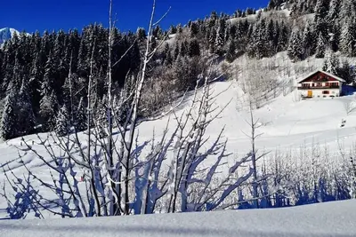 Image de Chalet De Luxe Ski Aux Pieds Directement Sur Les Pistes Porte Du Soleil