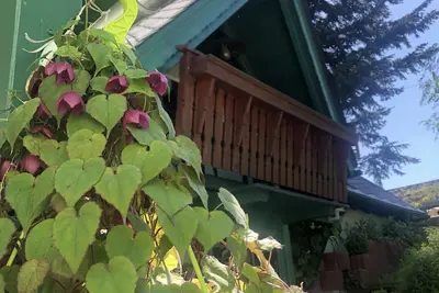 Image de Vacances dans les Monts Métallifères