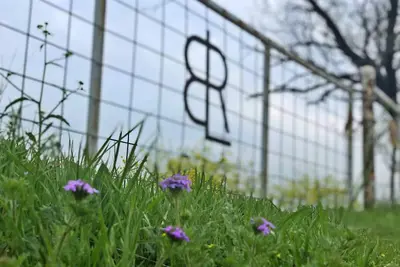 Image de Blr Ranch -tranquilité & aventure attend près de Dfw, à quelques minutes de Pk Lake