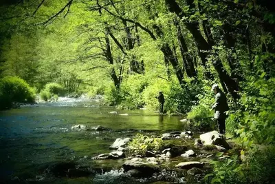 Image de Kota finlandais 4 personnes