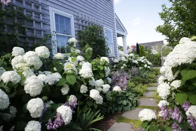 Image de Nouvelle retraite paisible en ville