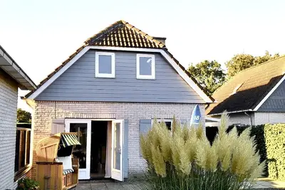 Image de Ouddorp / Renesse pour les familles, les kiters, les surfeurs, les cyclistes et les amis chiens.