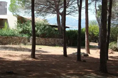 Image de Villa in pine forest with sea view in Baja Sardinia-