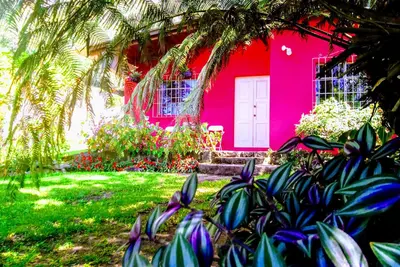 Image de Pink house