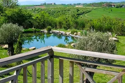 Image de Le Domaine des Vignes, piscine chauffée dans grand parc arboré
