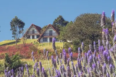 Image de Des chalets de style suisse dans le point culminant de la Cuesta
