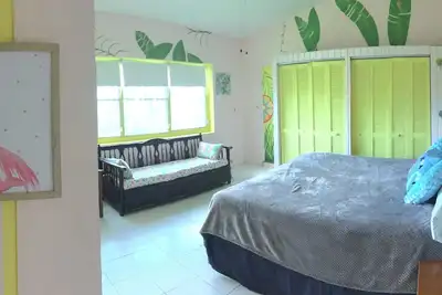 Image de Salle Banane de la forêt tropicale El Yunque