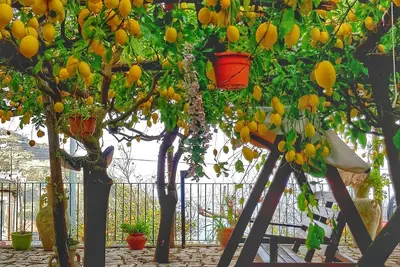 Image de Limoneto di Lulù, des vacances parmi les citrons!