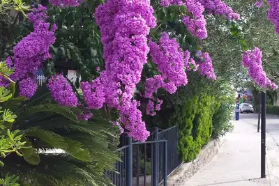 Image de Petite villa avec jardin, parking, accès privé à la mer 4 + 2 lits