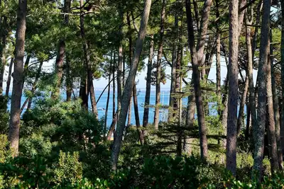 Image de Contemporary villa Cap Ferret 5 mns from the beach of the Americans - Bassin view