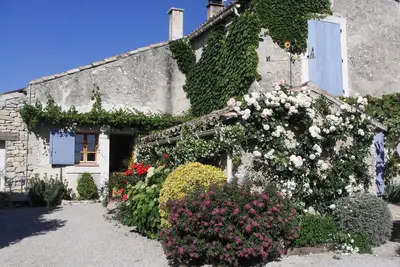 Image de Tranquilité au milieu des vignes au coeur de Provence