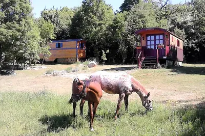 Image de Location de Roulotte entre les cévennes et le Cirque de Navacelle