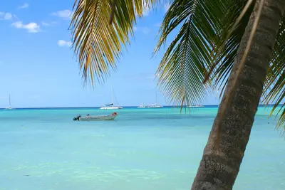 Image de La villa de luxe sur trois étages est située à quelques pas de la plage de Los Corales.