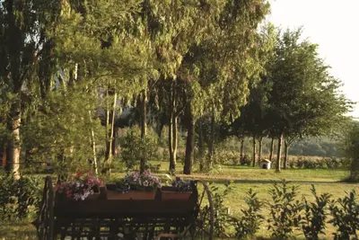 Image de Agriturismo La Petrosa - Maison Rotondella Rez-de-Chaussée