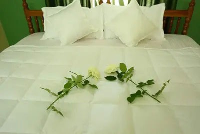Image de Wayanad Stay- Un séjour dans une plantation
