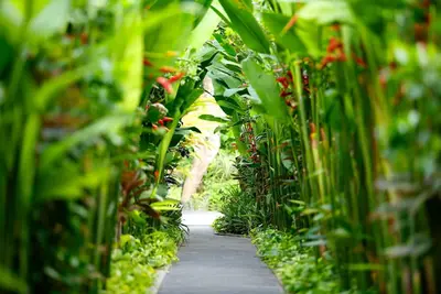 Image de Villa avec piscine privée 2 Br, à 5 minutes à pied de la plage et du quartier commerçant de Seminyak