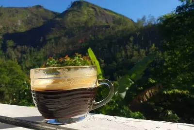 Image de Maison de montagne à Nova Friburgo proche du centre