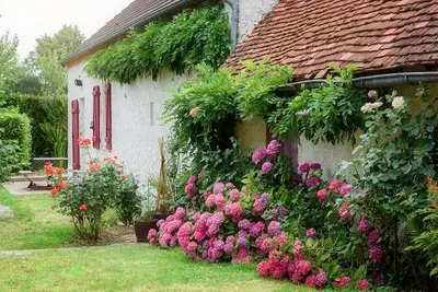Image de Maison rénovée à Franchesse avec grand jardin et animaux admis