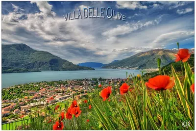 Image de Villa delle Olive, Vercana, Côme