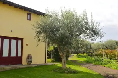 Image de Unique Villa Nocellara de style sicilien. Peut être loué avec Villa Baroni