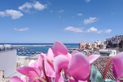 Image de Appartement avec terrasse avec vue magnifique sur le golfe et le château