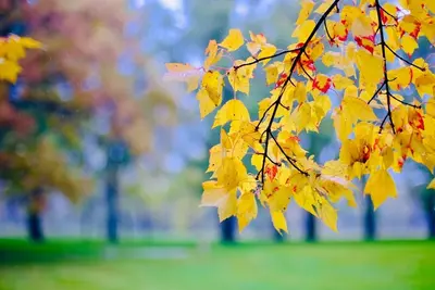 Image de Le Chalet Des Enseignants