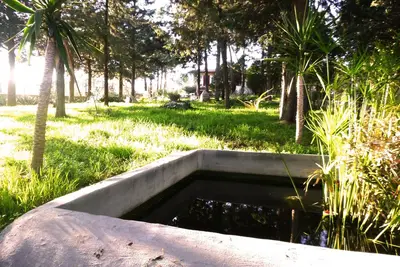 Image de Belle villa Pouilles Campagne et Wi-Fi rapide