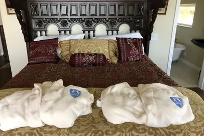 Image de Castle Inn of the Lost Coast Suite King