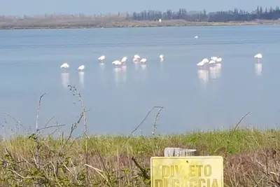 Image de Appartement à la campagne idéal pour des excursions Delta du Po / Venise / Ravenne