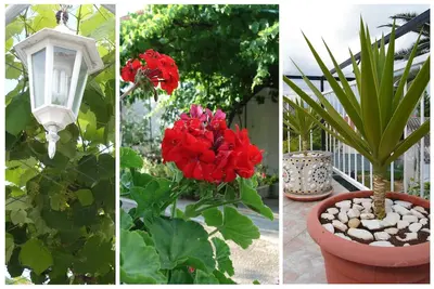 Image de Appartement familial idéal près de la mer