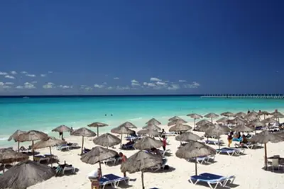 Image de Entree De La Mer De Mamitas - Marche Du 5e Avenue