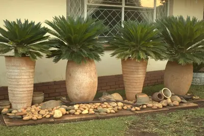 Image de Tadiwa's Cottage, comme à la maison