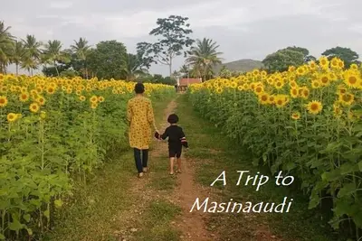 Image de Entouré de verdure vue Home Stay @ masinagudi